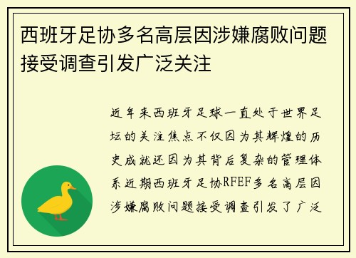西班牙足协多名高层因涉嫌腐败问题接受调查引发广泛关注 西班牙足协多名高层因涉嫌腐败问题接受调查引发广泛关注